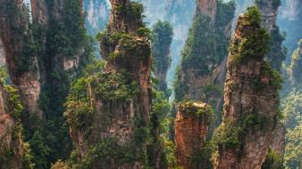 China national park forests green landscapes wallpaper
