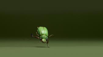 Funny insect pictures wallpaper