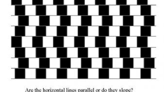 Black and white illusions lines optical wallpaper
