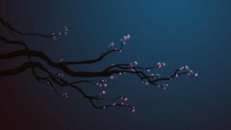 Blue background cherry blossoms minimalistic nature trees wallpaper
