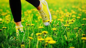 Grass shoes yellow flowers wallpaper