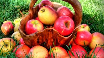 Apples fruits grass harvest wallpaper