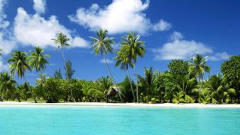 Beaches holidays palm trees resort sea wallpaper