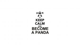 Keep calm and panda bears simple background text wallpaper