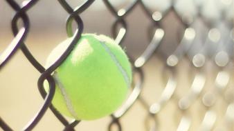 Fences balls tennis wallpaper