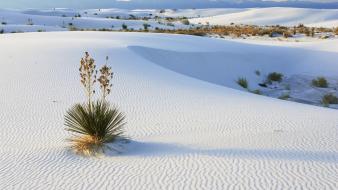 Landscapes sand white desert national monument new mexico wallpaper