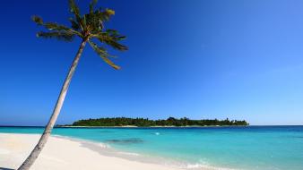 Maldivian Beach wallpaper