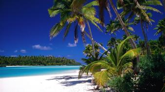Nature beach cook islands palm trees lagoon wallpaper