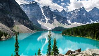 Nature trees forest canada alberta lakes turquoise wallpaper
