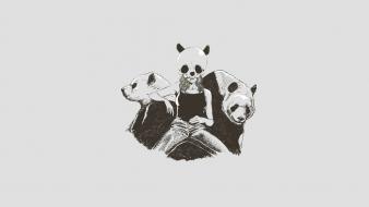 Panda bears artwork white background wallpaper
