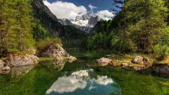 Austria forests grass green lakes wallpaper