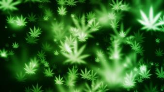Bokeh marijuana wallpaper