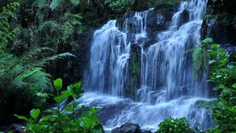 Forests jungle landscapes waterfalls wallpaper