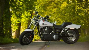 Harley davidson motorbikes wallpaper