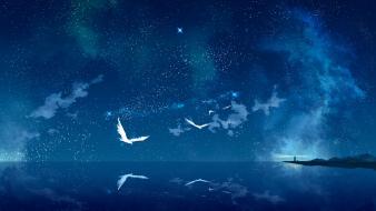 Artwork birds lighthouses night sky ocean wallpaper
