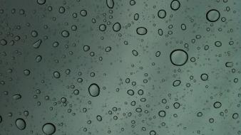 Drop water drops wallpaper