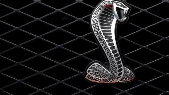 Ford mustang cobra gt shelby cars wallpaper