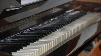 Music piano keys wallpaper