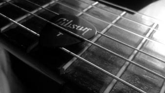 Gibson guitar picks guitars mediator music wallpaper