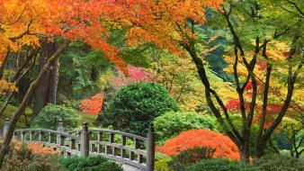 Japanese oregon portland autumn garden wallpaper