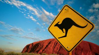 Australia caution kangaroos signs