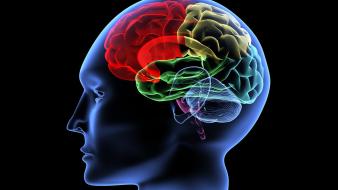 Blue brain head human body red wallpaper