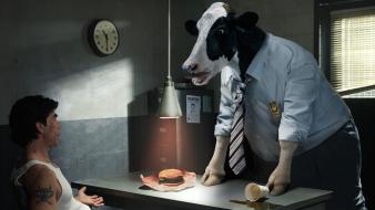 Cows interrogation police wallpaper