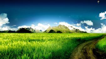 Fields green nature skyscapes wallpaper