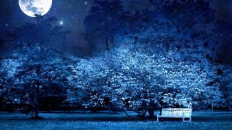 Moon bench blue forests garden wallpaper