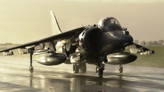 Sea harrier fighter jets military