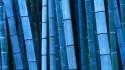 Blue Bamboo wallpaper