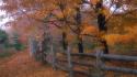 Country Fence wallpaper