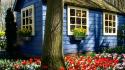 Houses tulips holland wallpaper