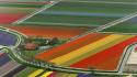Landscapes multicolor fields holland the netherlands wallpaper