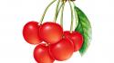 Red Cherries wallpaper