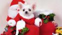 Santa Puppy Dog wallpaper