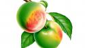Two Riped Fruits wallpaper