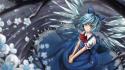 Blue hair short bows anime girls ornaments wallpaper