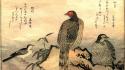 Japanese artwork pheasant kanji wagtails kitagawa utamaro wallpaper
