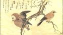 Japanese owls artwork kanji jays kitagawa utamaro wallpaper
