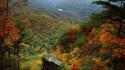 Landscapes autumn (season) national gap wallpaper