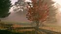 Light sunrise autumn (season) west foggy dogwood virginia wallpaper