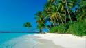 Ocean landscapes beach shore palm trees blue skies wallpaper