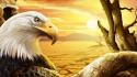 Paintings animals plants bald eagles wallpaper