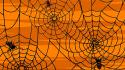 Halloween orange spiders spider webs wallpaper