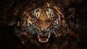 Animals revenge tigers wallpaper