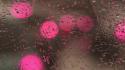 Condensation pink rain on glass water drops wallpaper