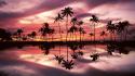 Hawaii oahu beaches palm trees parks wallpaper