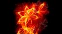 Digital art fire flower flames wallpaper