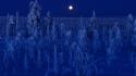 Finland full moon blue dark forests wallpaper